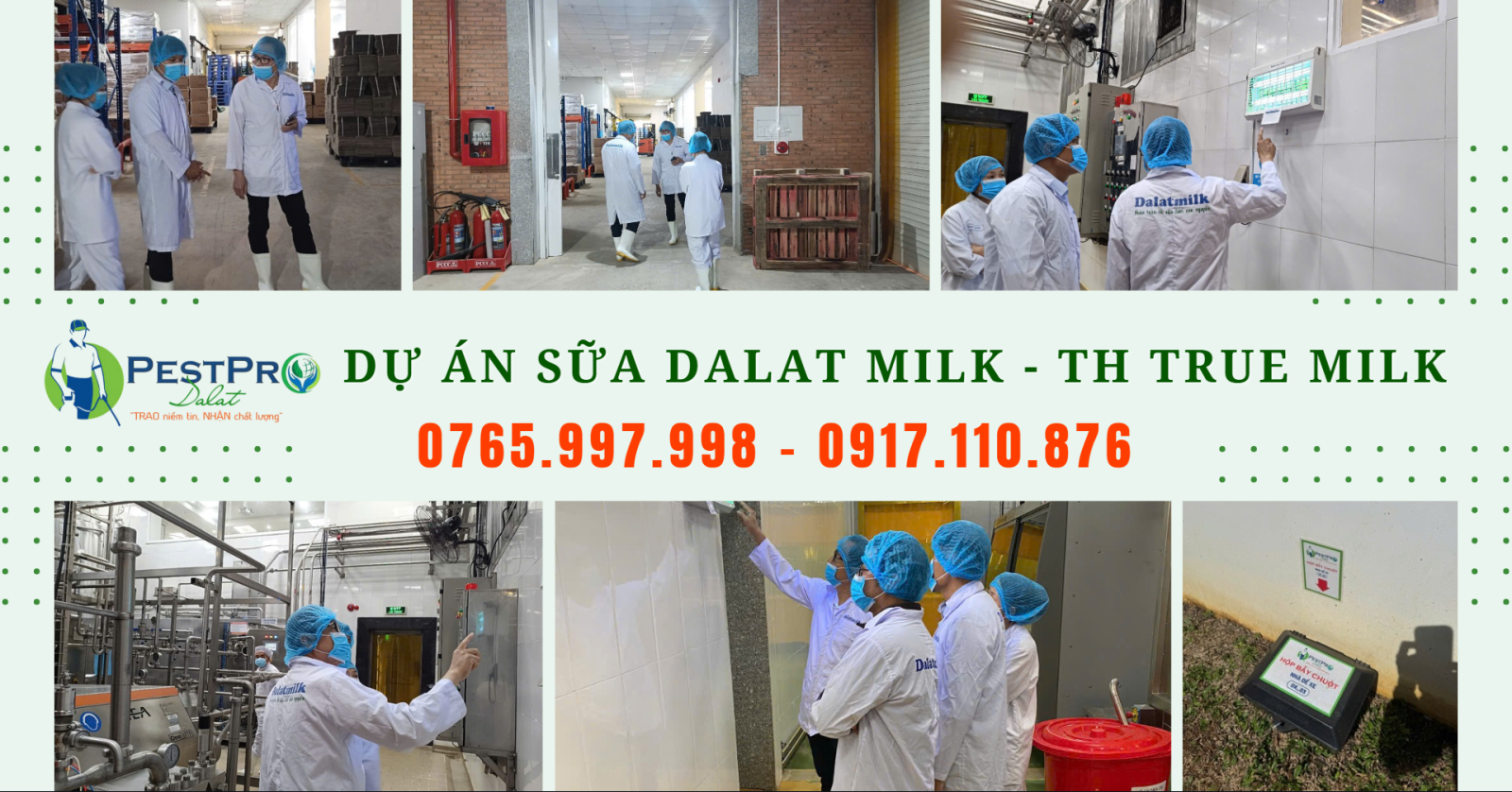 Dự Án Diệt Côn Trùng Tổng Hợp Tại CÔNG TY SỮA TH TRUE MILK DALAT