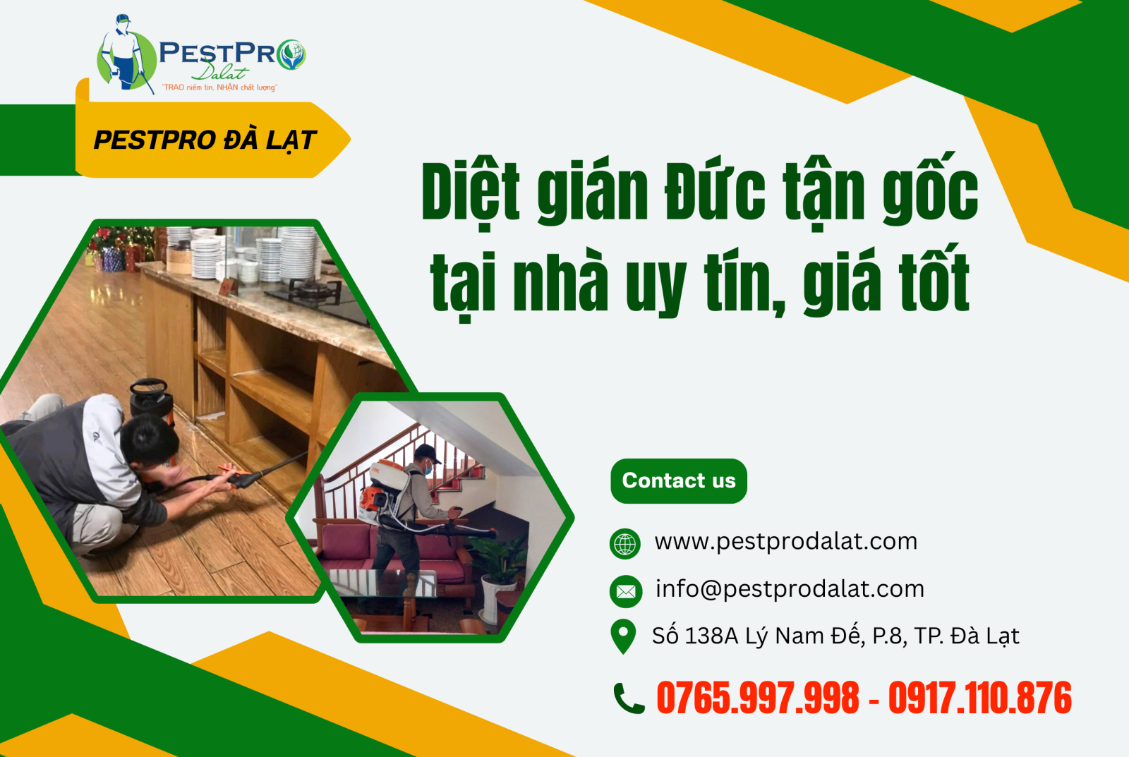 Diệt gián Đức tận gốc tại nhà