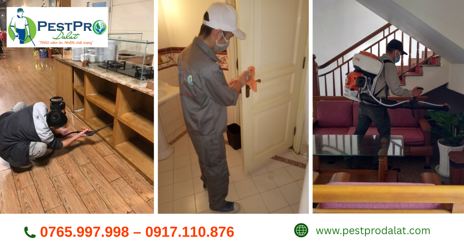 Diệt gián Đức tận gốc tại nhà uy tín, giá tốt