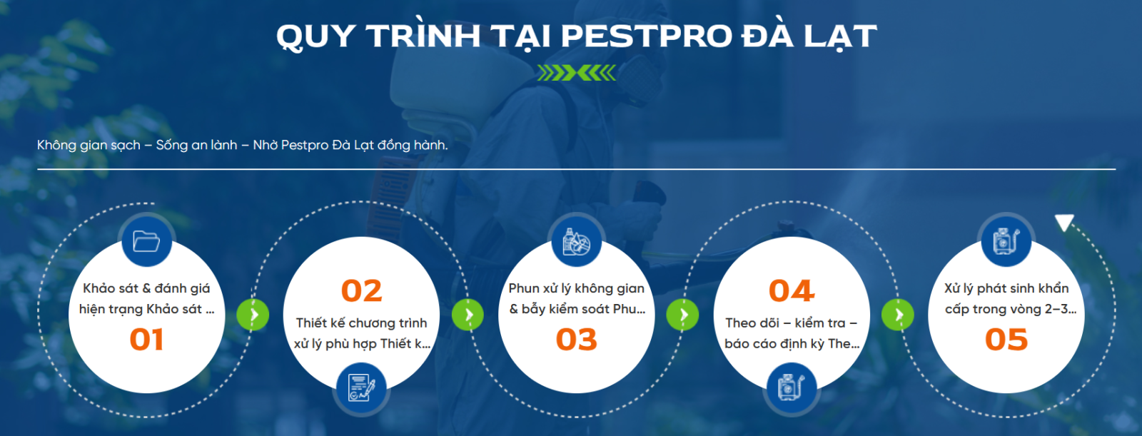 Quy trình diệt gián chuẩn IPM của PESTPRO Đà Lạt