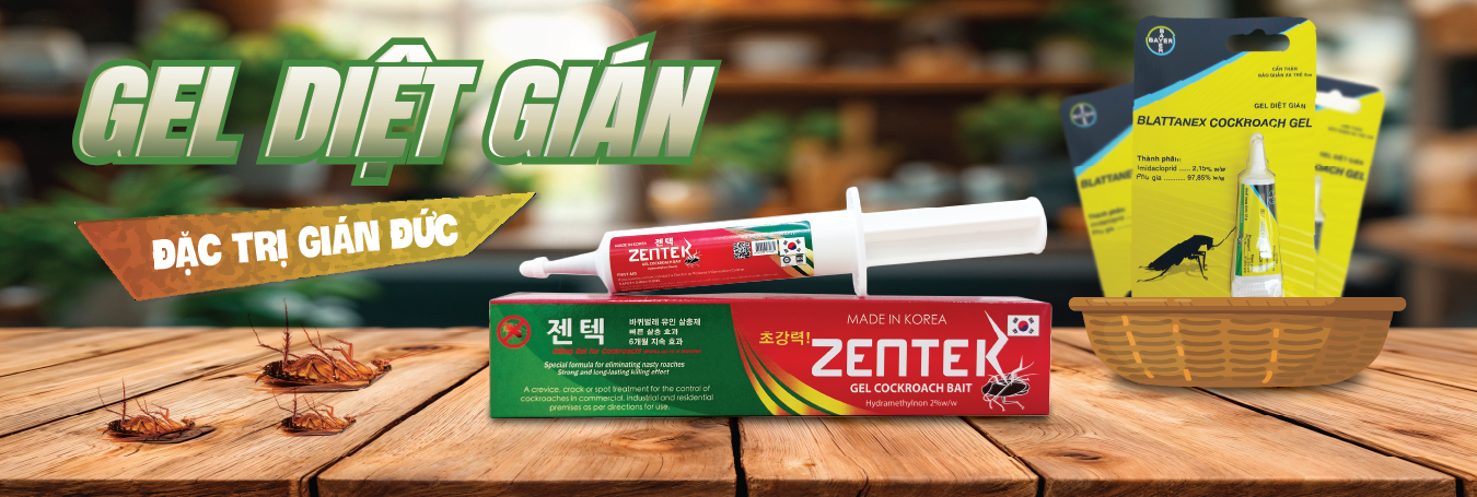 Kỹ thuật viên đặt Gel diệt gián