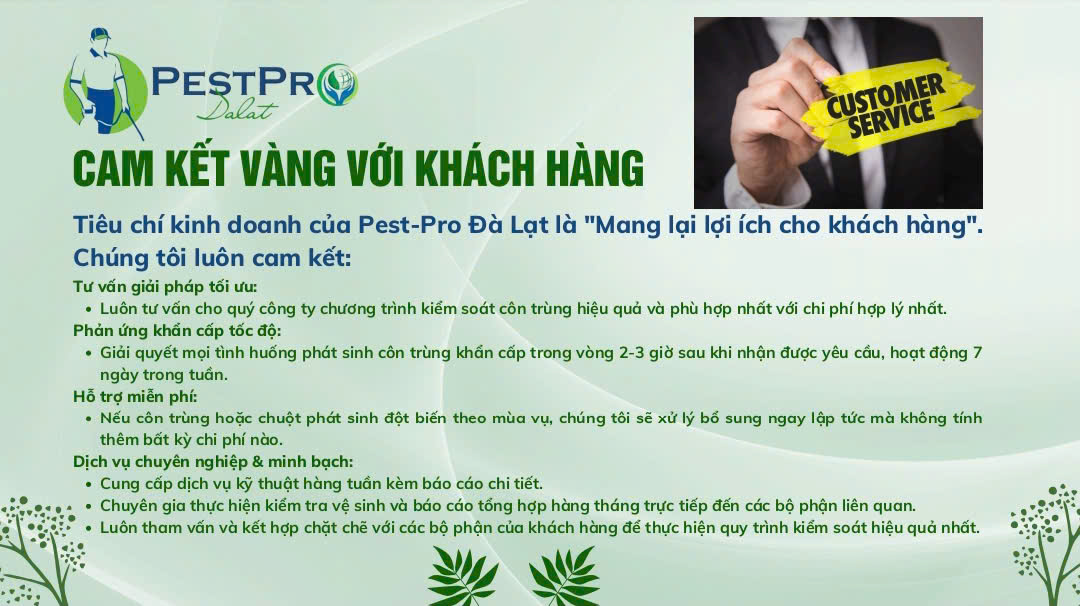cam kết dịch vụ PESTPRO Đà Lạt