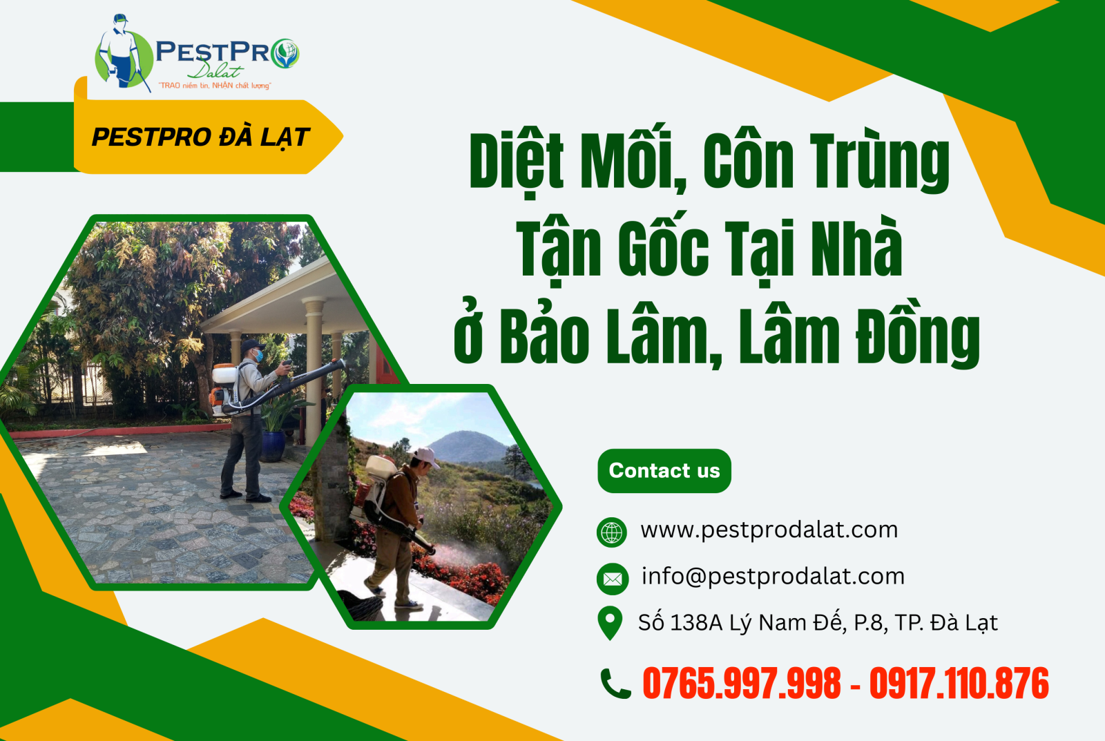 Diệt Mối, Côn Trùng Tận Gốc Tại Nhà ở Bảo Lâm, Lâm Đồng