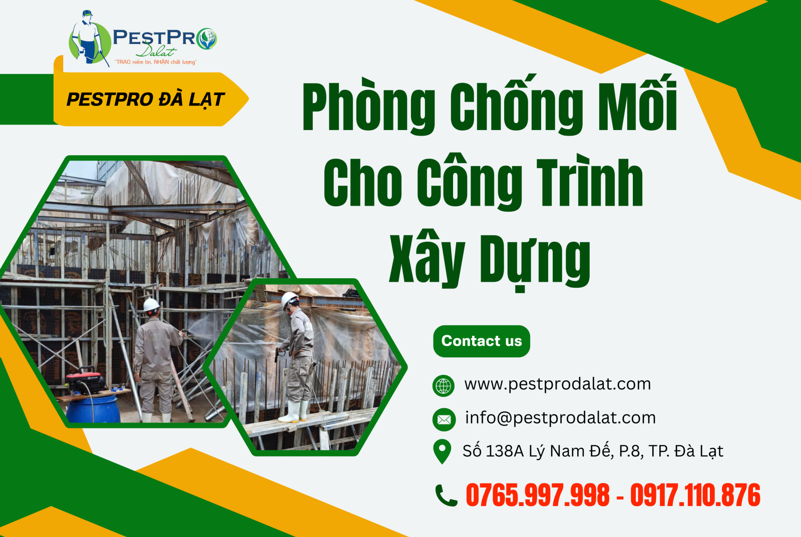 Phòng Chống Mối Cho Công Trình Xây Dựng Đà Lạt