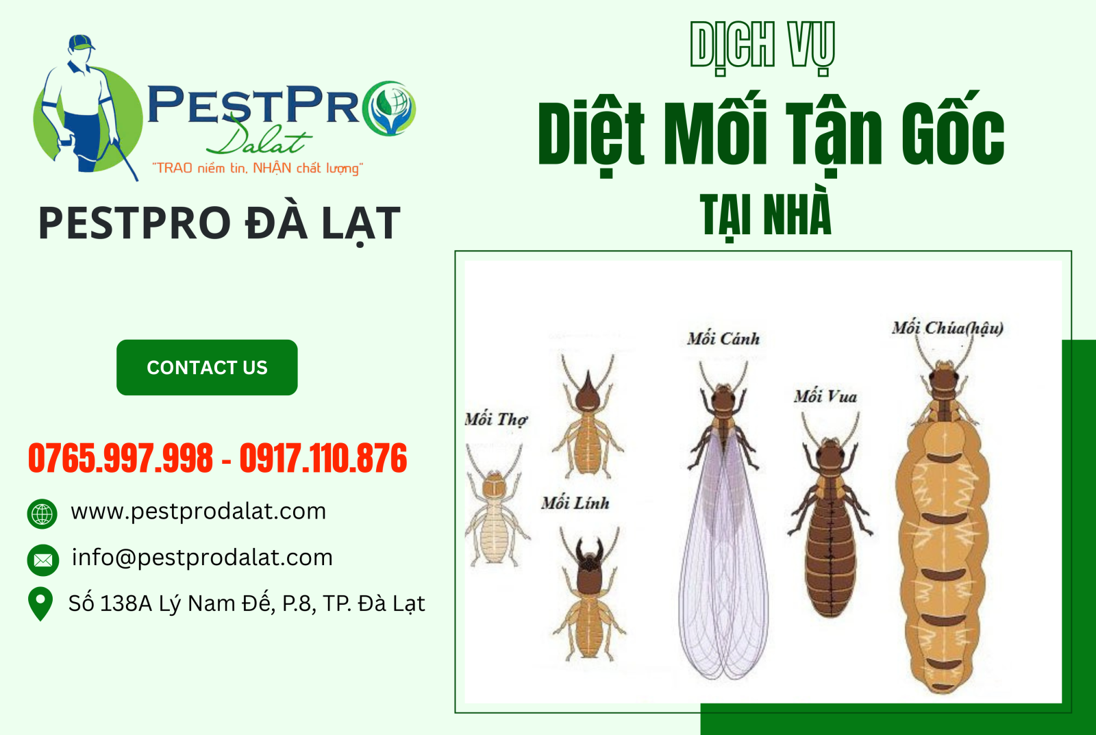 Mối Chúa và Diệt Mối Tận Gốc