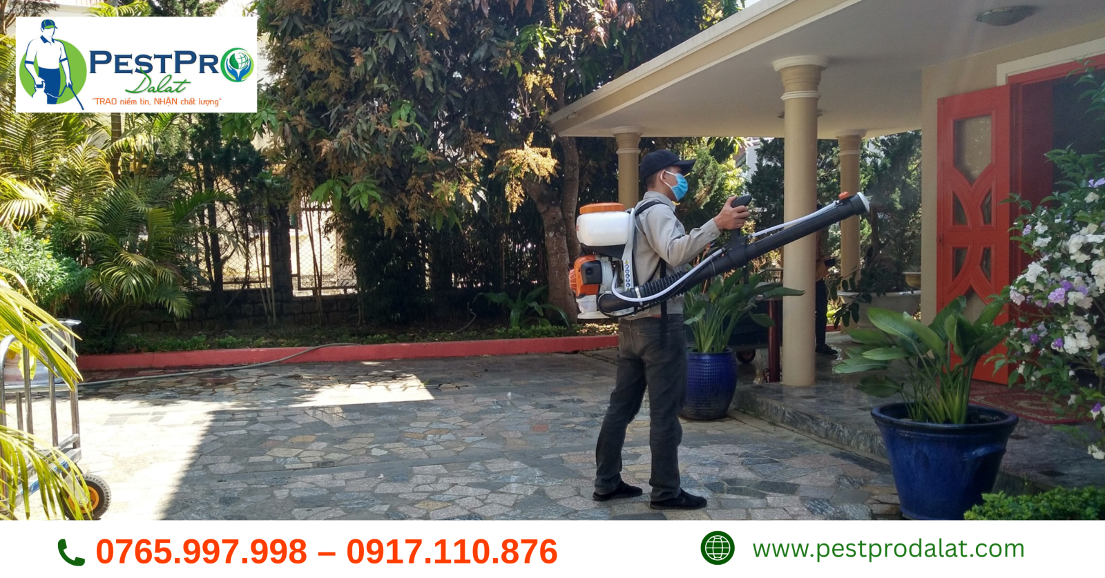 Diệt Mối, Côn Trùng Tận Gốc Tại Nhà ở Bảo Lâm, Lâm Đồng