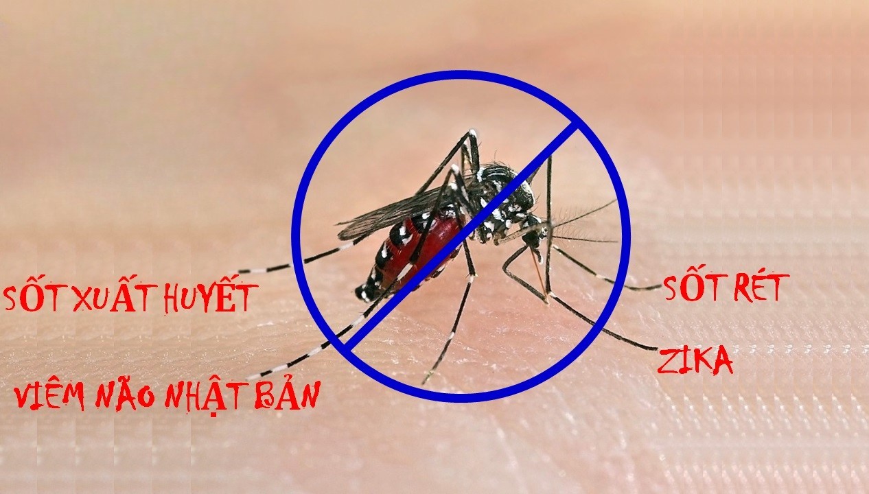 Đơn vị xử lý muỗi uy tín tại Đà Lạt, Dịch vụ diệt muỗi Đà Lạt, Công ty xử lý muỗi tại Lâm Đồng, Diệt muỗi chuyên nghiệp Đà Lạt, Diệt muỗi tại nhà Đà Lạt, Công ty Pestpro Đà Lạt, Dịch vụ kiểm soát côn trùng Đà Lạt,