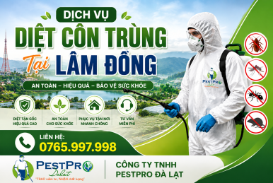 Dịch Vụ Diệt Côn Trùng Tại Lâm Đồng Tận Gốc, An Toàn - PestPro