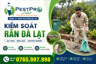 Kiểm soát rắn tại Đà Lạt
