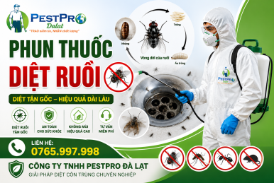 Phun thuốc diệt ruồi tại Đà Lạt, Lâm Đồng uy tín, tận gốc - PestPro