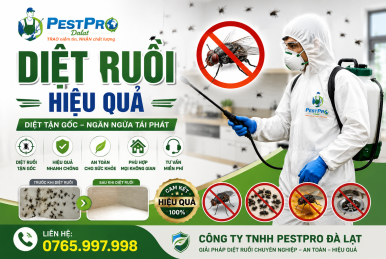 Diệt ruồi hiệu quả tại Đà Lạt, Lâm Đồng tận gốc, an toàn - PestPro
