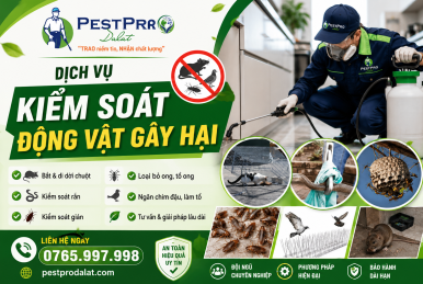 Kiểm Soát Động Vật Gây Hại