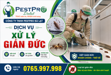 Diệt Gián Đức