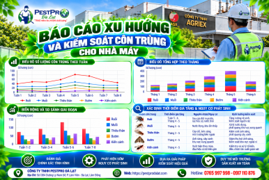 BÁO CÁO XU HƯỚNG VÀ KIỂM SOÁT CÔN TRÙNG CHO NHÀ MÁY