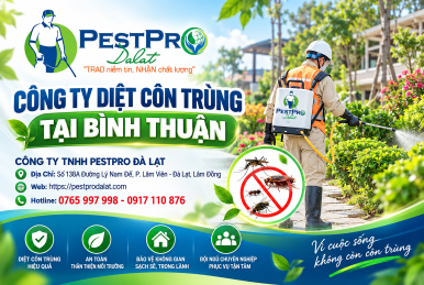 Diệt Côn Trùng Tận Gốc Bình Thuận