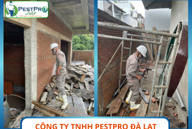 Công Ty Diệt Côn Trùng Tại Bình Thuận
