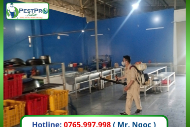 Công Ty Diệt Côn Trùng Gây Hại Số 1 Đà Lạt