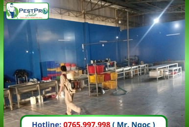 Dịch Vụ Kiểm Soát Côn Trùng Gây Hại