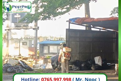 Kiểm Soát Côn Trùng Đà Lạt