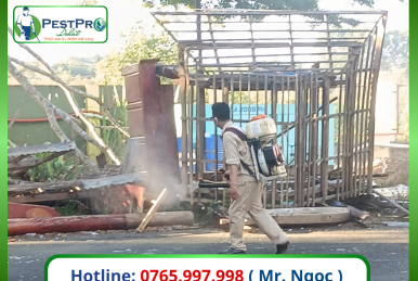 Dịch Vụ Diệt Côn Trùng Chuyên Nghiệp Tại Đà Lạt