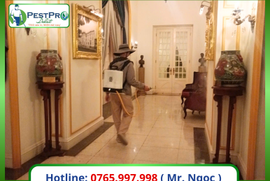 Cách diệt gián Đức tận gốc tại Lâm Đồng an toàn, uy tín - PestPro
