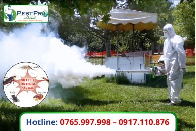 Xử Lý Côn Trùng Tận Gốc Đà Lạt