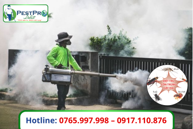 Diệt Côn Trùng Tận Gốc Đà Lạt