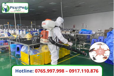 Xử Lý Côn Trùng Đà Lạt