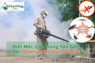 Diệt Mối, Côn Trùng Tận Gốc Tại Phường Lâm Viên, Đà Lạt Uy Tín Nhất