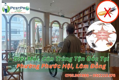 Diệt Mối, Côn Trùng Tận Gốc Tại Phường Phước Hội, Lâm Đồng Uy Tín