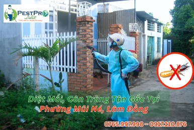 Diệt Mối, Côn Trùng Tận Gốc Tại Phường Mũi Né, Lâm Đồng Uy Tín Nhất