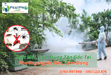Diệt Mối, Côn Trùng Tận Gốc Tại Phường Nghĩa Tân, Lâm Đồng Cho Biệt Thự