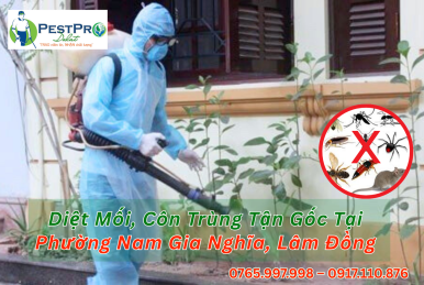 Diệt Mối, Côn Trùng Tận Gốc Tại Phường Nam Gia Nghĩa, Lâm Đồng Uy Tín