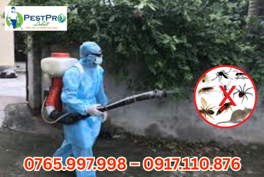 Top 1 Đơn Vị Diệt Côn Trùng Uy Tín Tại Lâm Đồng - PESTPRO Đà Lạt