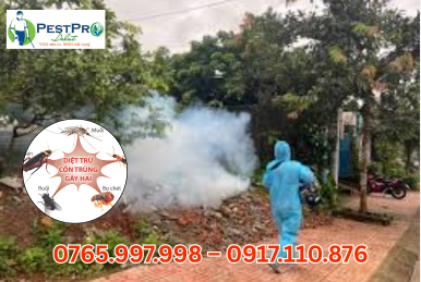 Dịch Vụ Diệt Côn Trùng Tại Đà Lạt Uy Tín Số 1 – PESTPRO ĐÀ LẠT