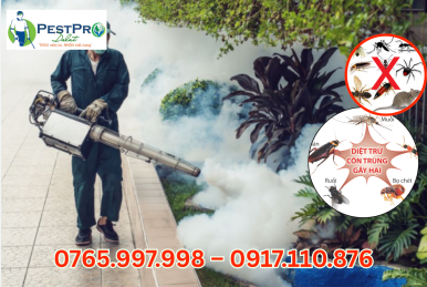 Công Ty Diệt Côn Trùng Giá Rẻ, Uy Tín PESTPRO Đà Lạt - Giải Pháp Toàn Diện