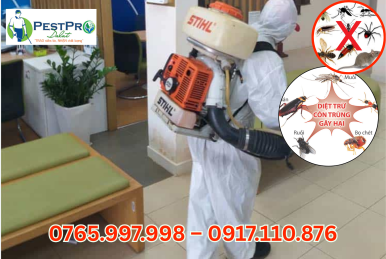 Công Ty Diệt Côn Trùng Tận Gốc Uy Tín, Giá Rẻ Tại Lâm Đồng