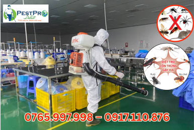 Công Ty Diệt Côn Trùng Tận Gốc PESTPRO Đà Lạt: Giải Pháp Số 1