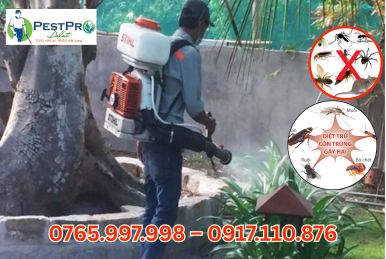 Công Ty Diệt Côn Trùng PESTPRO Đà Lạt: Giải Pháp Kiểm Soát Dịch Hại Số 1