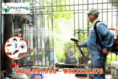 Top 1 Công Ty Diệt Côn Trùng Uy Tín Tại Đà Lạt – PESTPRO ĐÀ LẠT