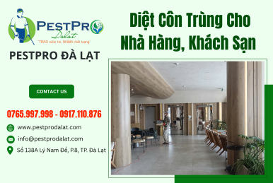 Giải Pháp Diệt Côn Trùng Chuyên Nghiệp Cho Nhà Hàng, Khách Sạn - PestPro Đà Lạt