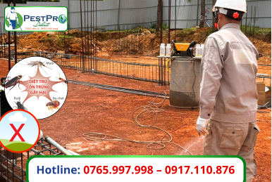 Phòng Chống Mối Nền Móng Công Trình Uy Tín Số 1 Lâm Đồng