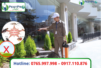 Xử Lý Côn Trùng Tại Đà Lạt Uy Tín, Triệt Để, An Toàn - Pestpro