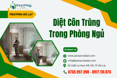 Cách diệt côn trùng trong phòng ngủ hiệu quả và an toàn nhất - Pestpro Đà Lạt