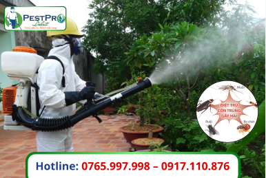 Đơn Vị Xử Lý Côn Trùng Tại Đà Lạt