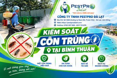 Kiểm soát côn trùng tại Bình Thuận