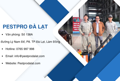 PestPro Đà Lạt – Giải pháp kiểm soát côn trùng toàn diện & an toàn tuyệt đối
