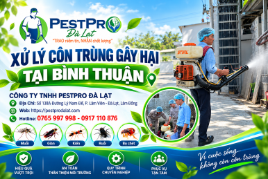 Xử Lý Côn Trùng Gây Hại Bình Thuận