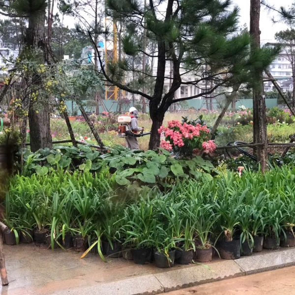 CÔNG TY TNHH PESTPRO ĐÀ LẠT