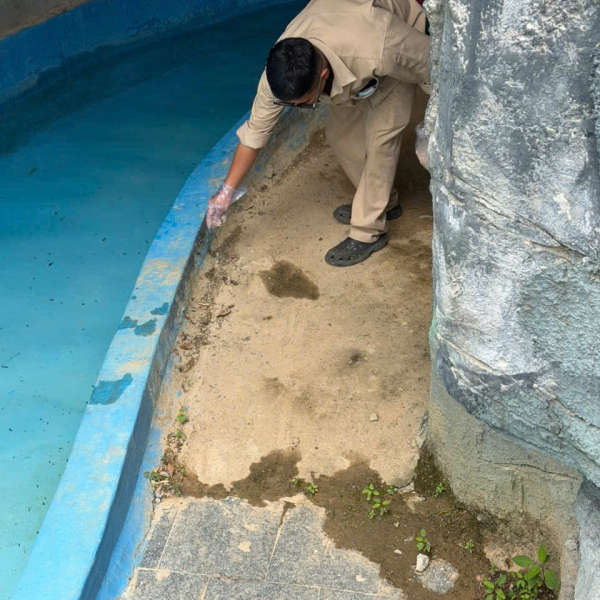 CÔNG TY TNHH PESTPRO ĐÀ LẠT
